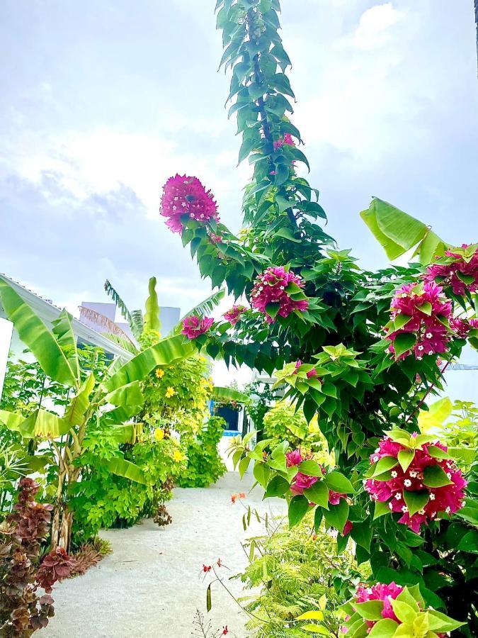 Отель Coral Castle - Goidhoo Maldives Атолл Баа Экстерьер фото